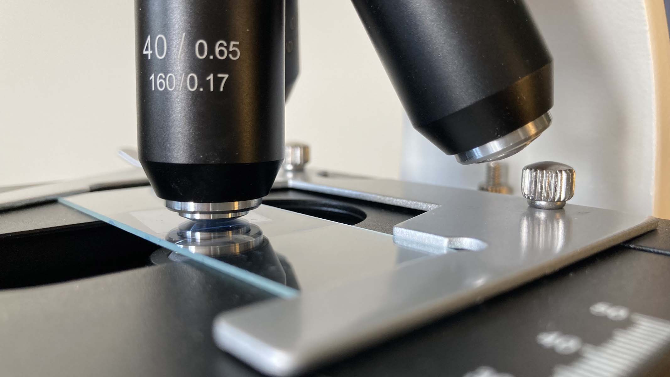microscope close up