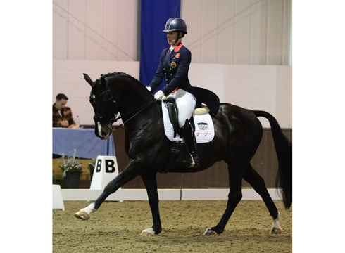 ADDINGTON CDI3*