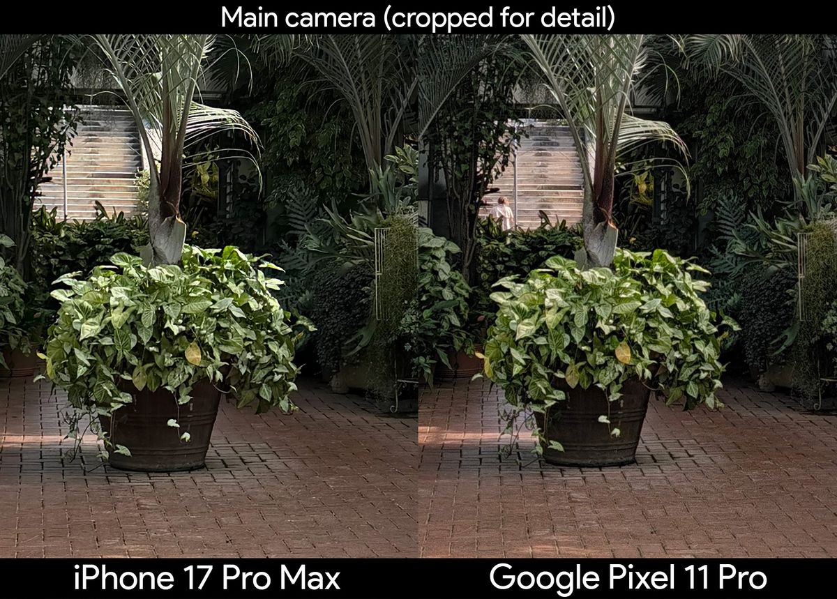 Comparing two photos of plants in a greenhouse between the iPhone 17 Pro Max and Google Pixel 11 Pro