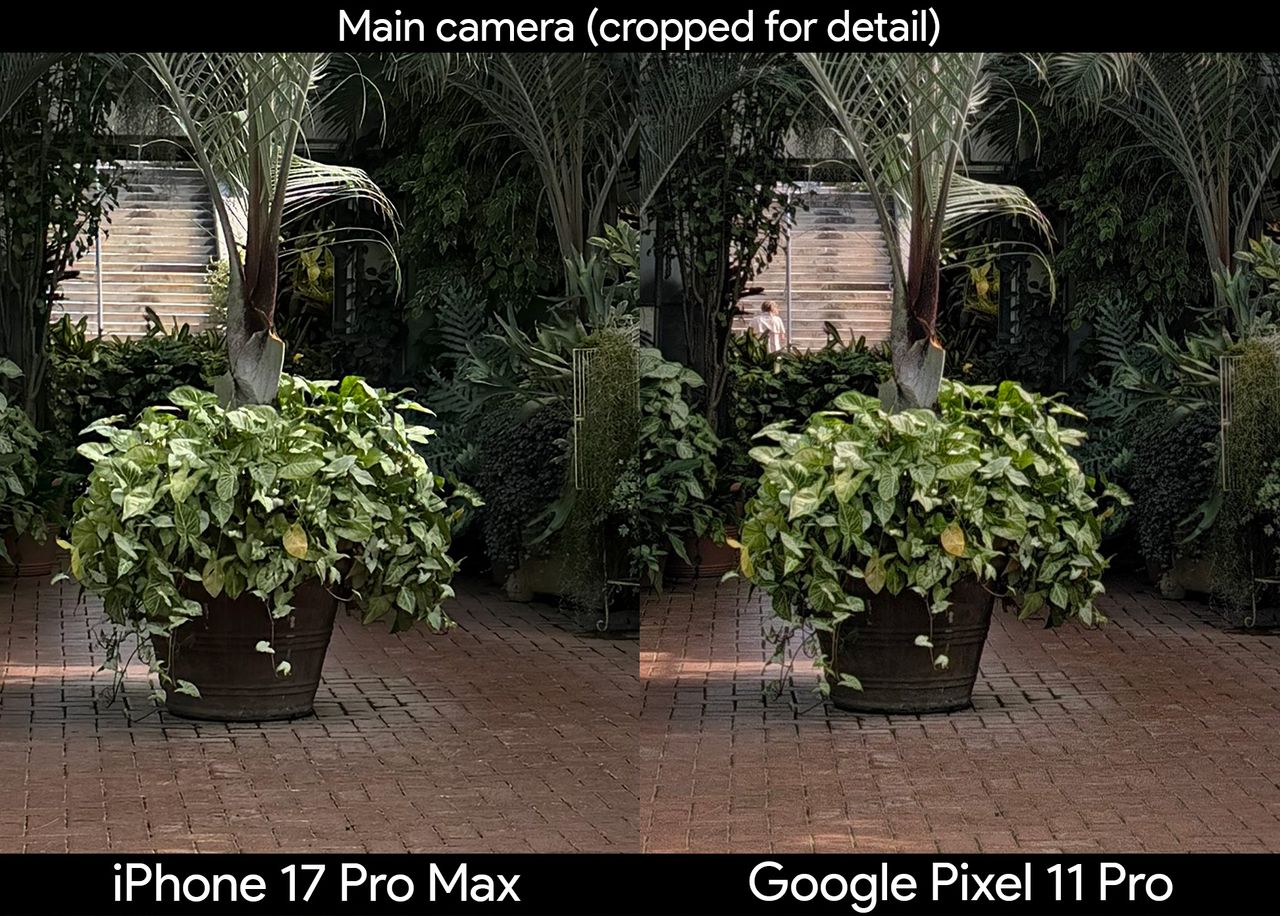 Comparing two photos of plants in a greenhouse between the iPhone 17 Pro Max and Google Pixel 11 Pro