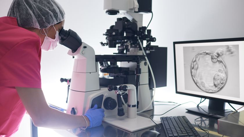 a woman in scrubs and gloves stands in front of a microscope examining an egg cell