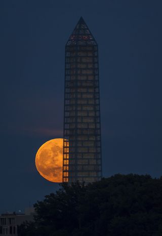 Supermoon Rises Over Washington Monument