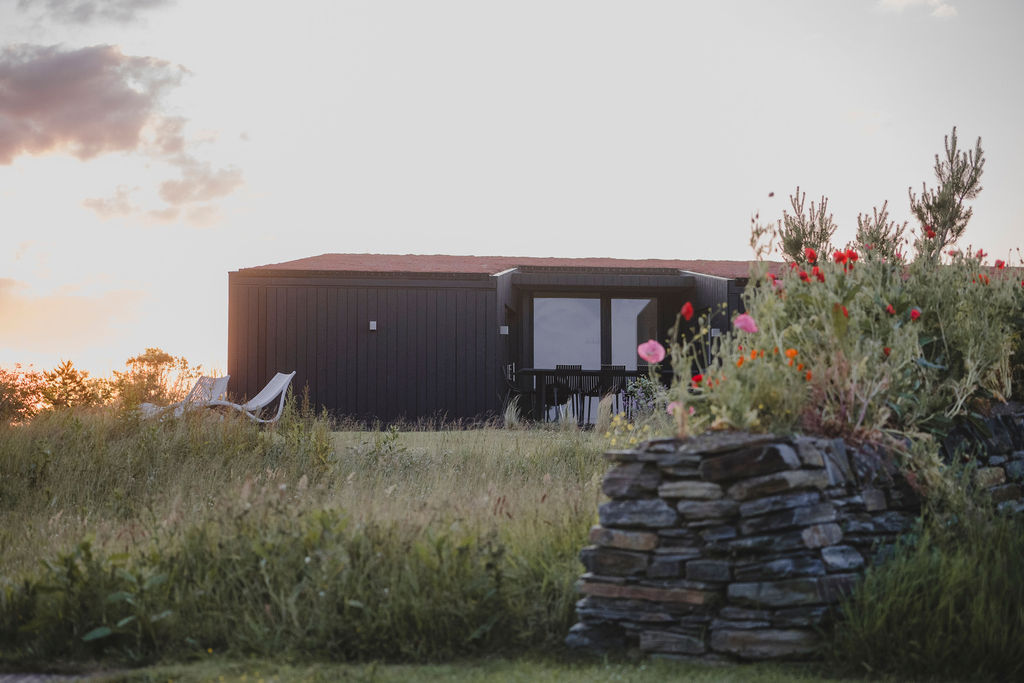 Cornish eco-cabin site by Darren Hawkes, leafy flowering meadow