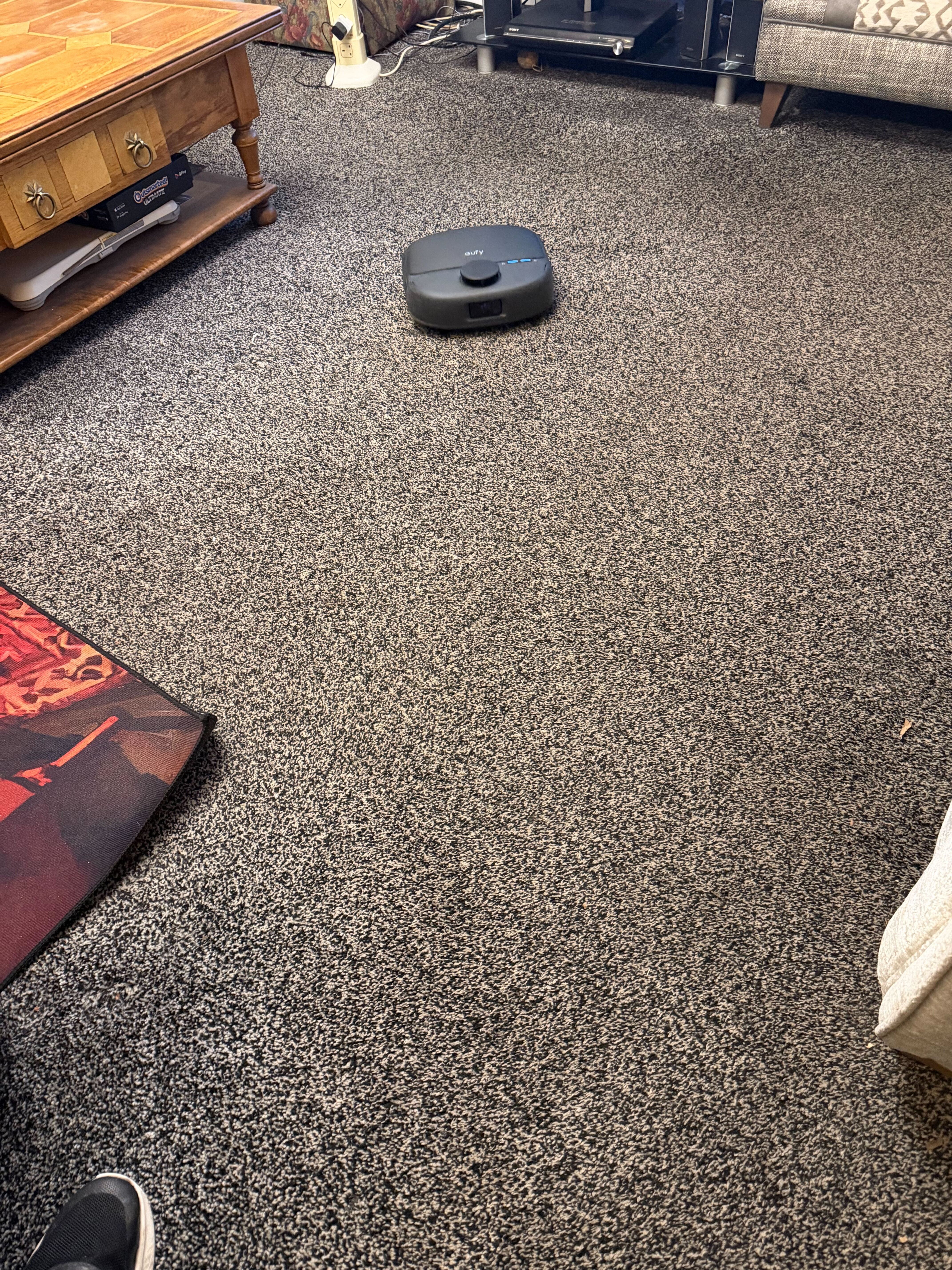 A robovac cleaning a carpet