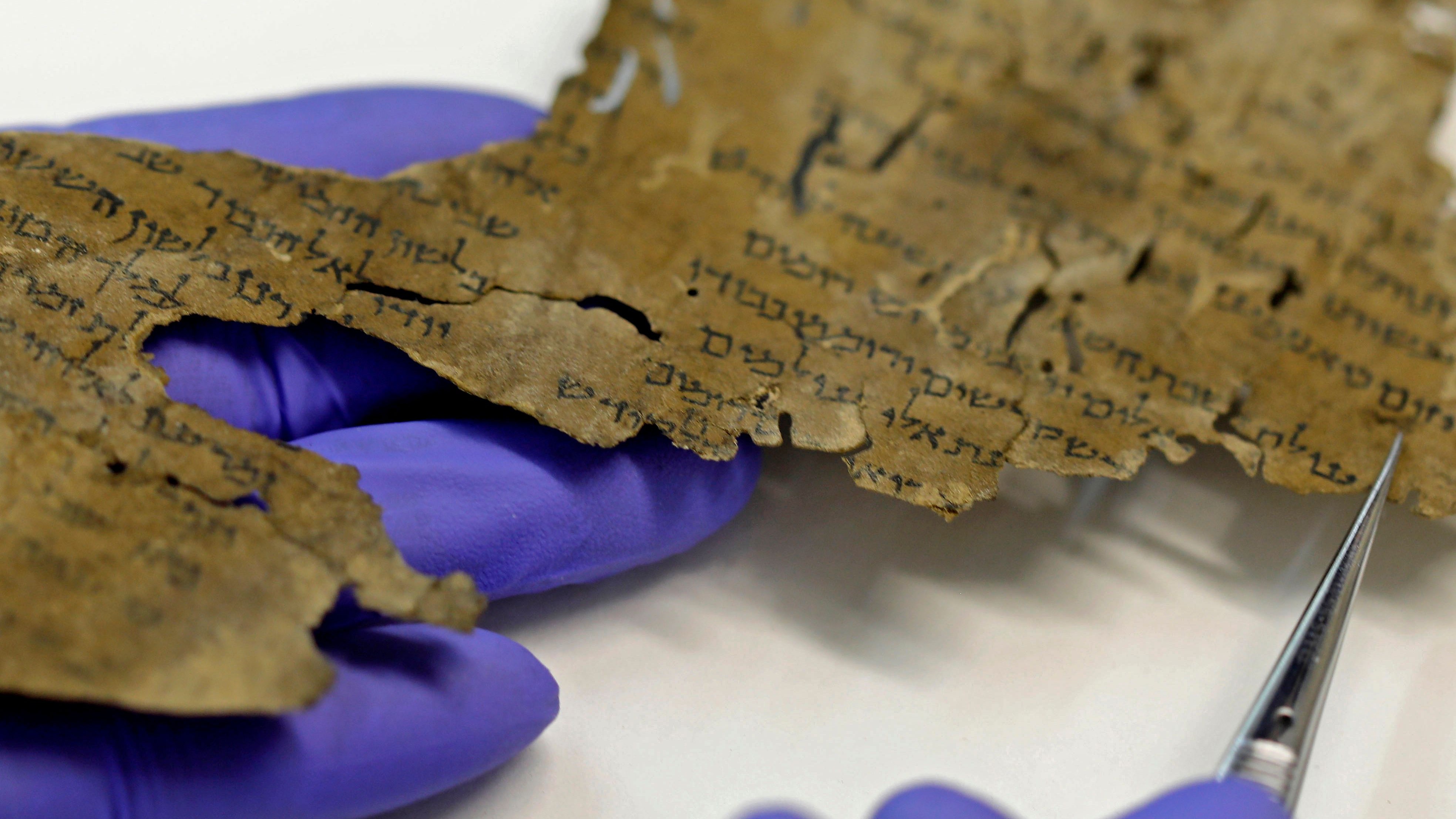 A fragment of the Dead Sea Scrolls held by a gloved hand.
