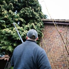 using tools to trim tree branches 