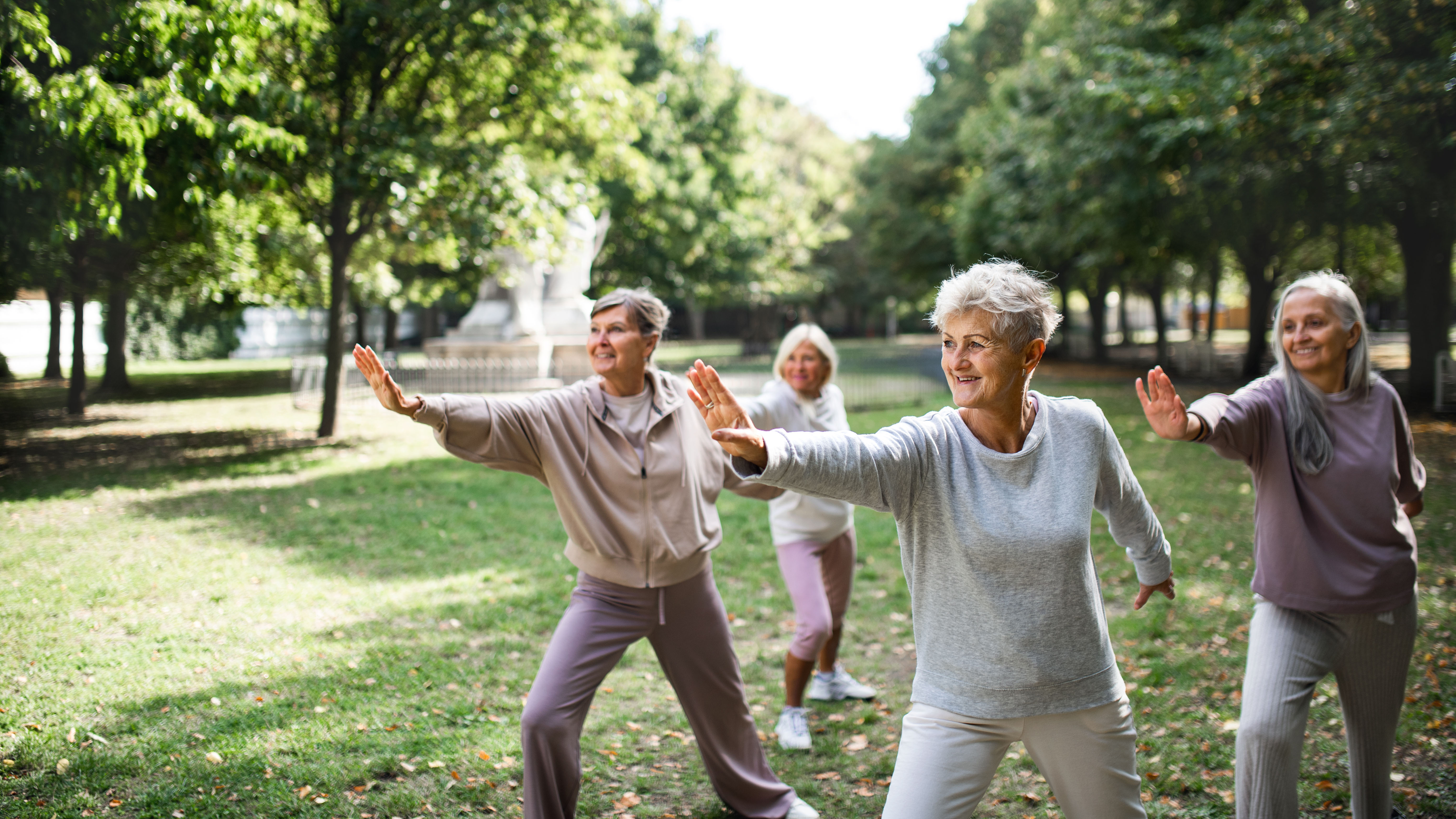 Women practicing tai chai in park