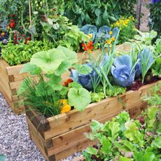 Clever raised garden bed idea using stackable timber kits