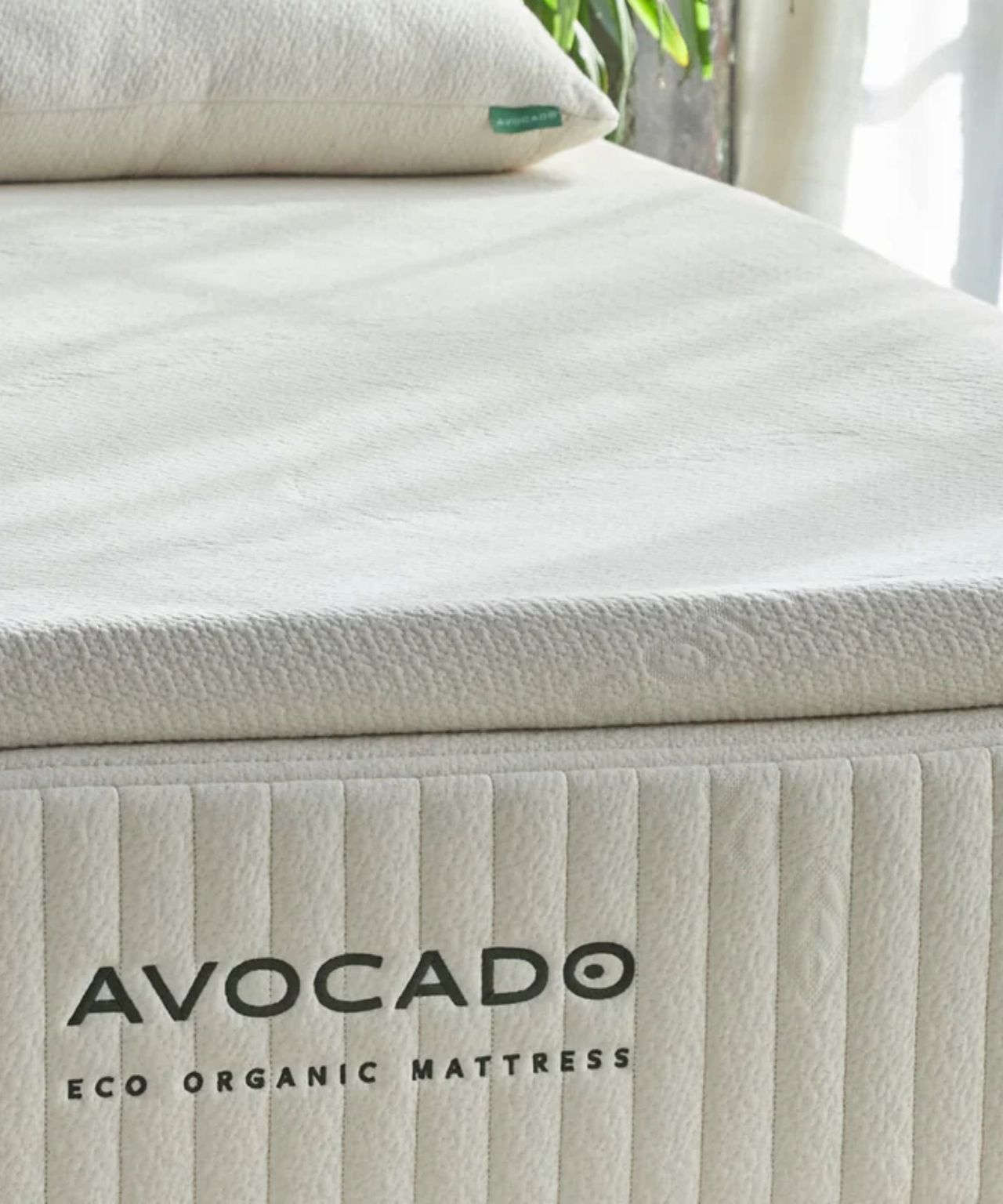A white Avocado Latex Mattress Topper on top of a white Avocado mattress with green lettering, with a white pillow. To the right is a houseplant with a window behind sheer white curtains.