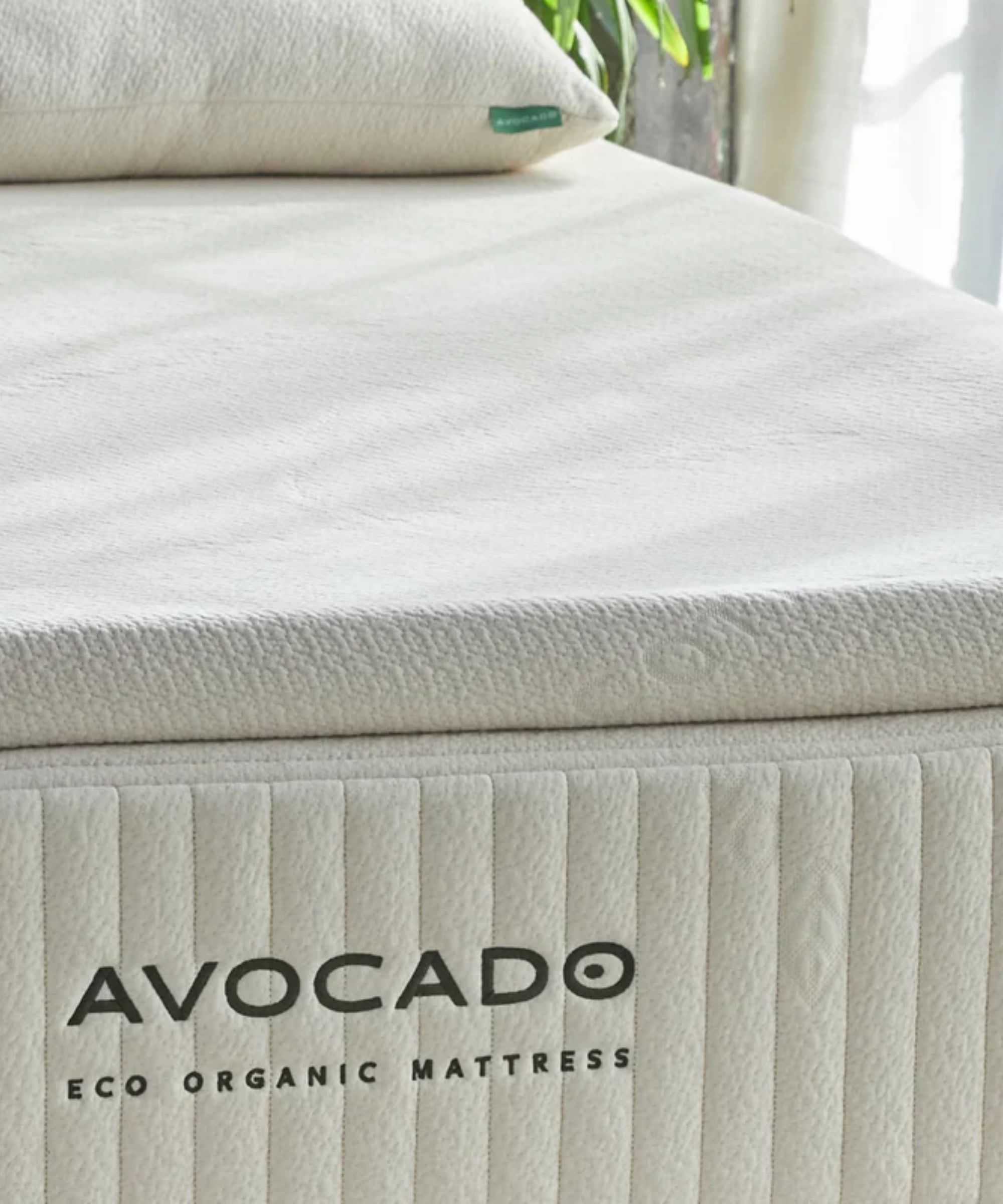 A white Avocado Latex Mattress Topper on top of a white Avocado mattress with green lettering. On top of the bed is a white pillow, and to the right of that is a houseplant with a window behind sheer white curtains.