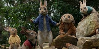 Peter Rabbit