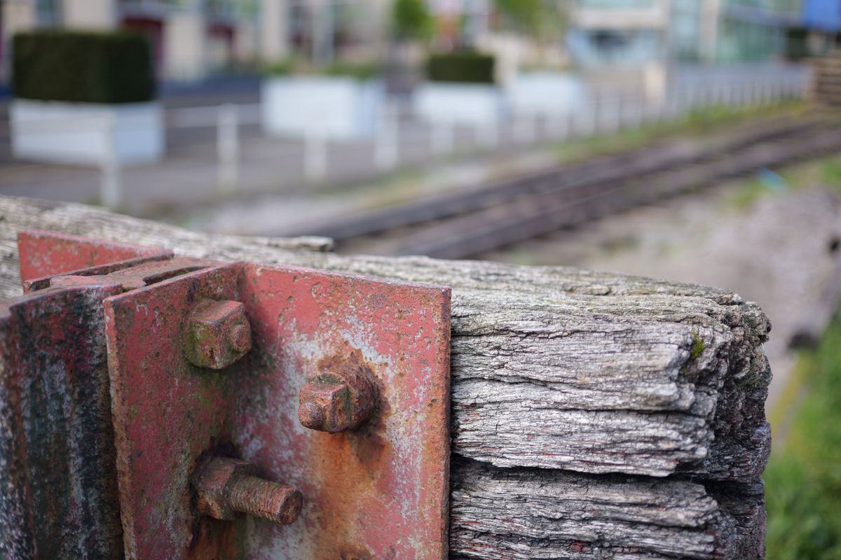 Panasonic Lumix S 40mm f/2 sample image
