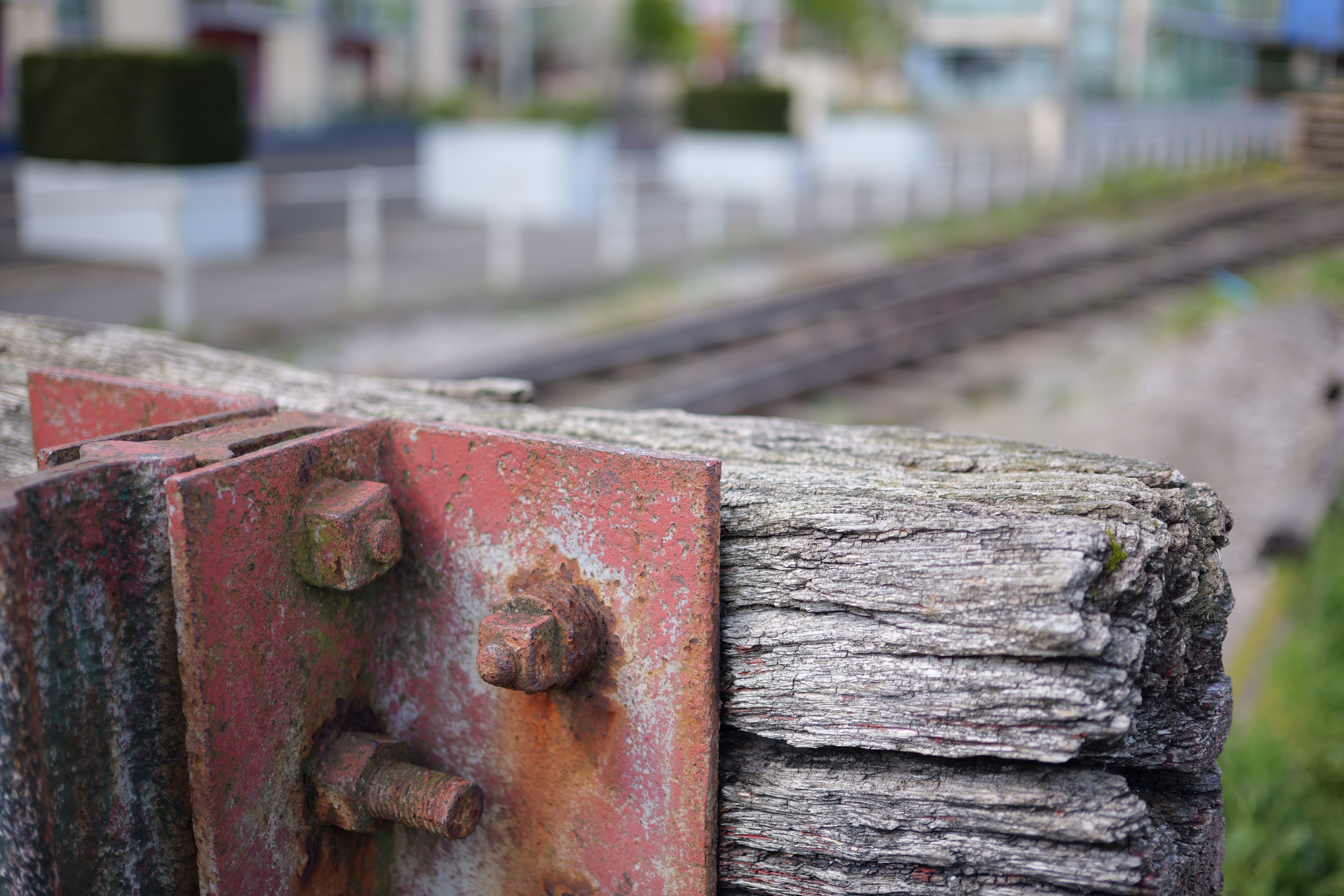 Panasonic Lumix S 40mm f/2 sample image