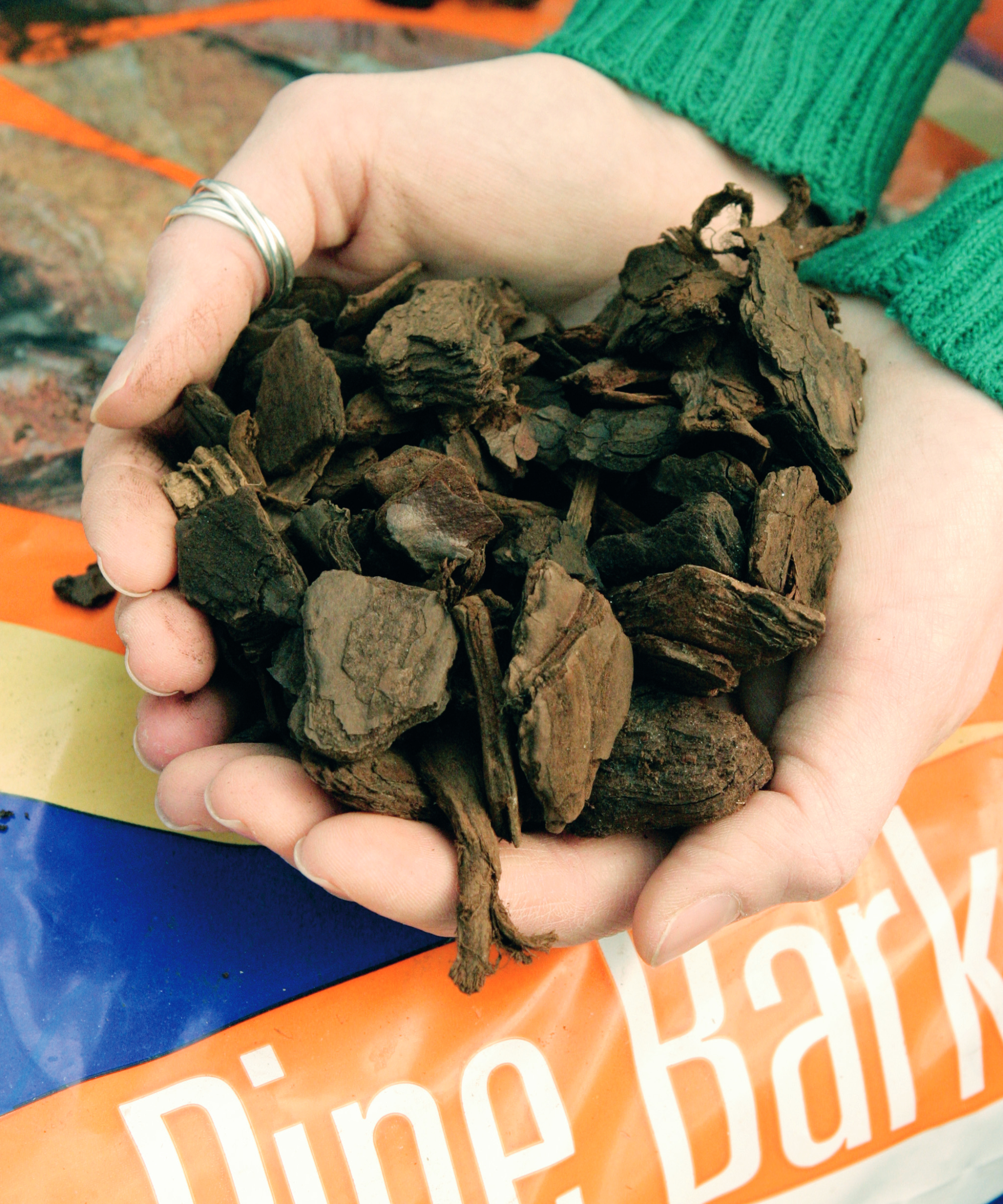 hands holding pine bark mulch chips