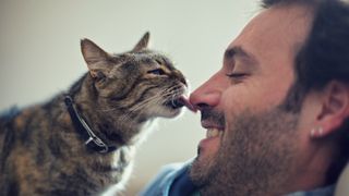 Cat licking man&#039;s nose