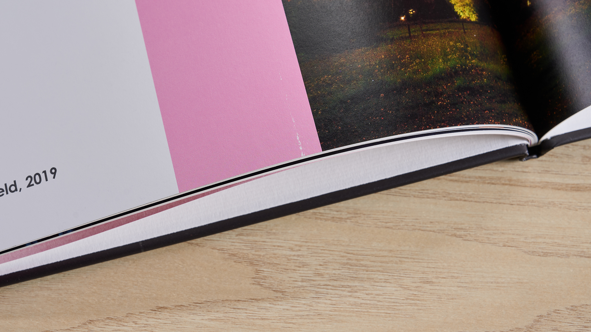 Shutterfly Photo Book displaying erroneous white mark on pink-colored rectangle