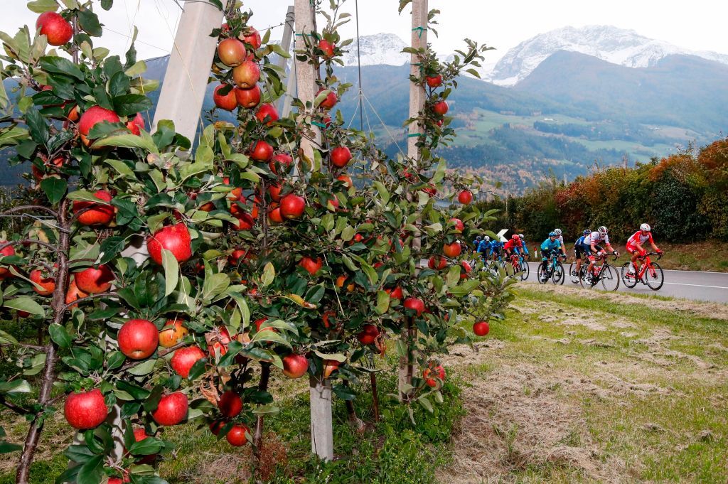 The breakaway rides past apple trees during the 18th stage of the Giro dItalia 2020 cycling race a 207kilometer route between Pinzolo and Laghi di Cancano on October 22 2020 Photo by Luca Bettini AFP Photo by LUCA BETTINIAFP via Getty Images