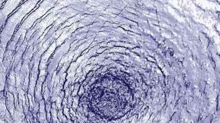 Concentric squiggly rings of purple wrap around each other over a light background