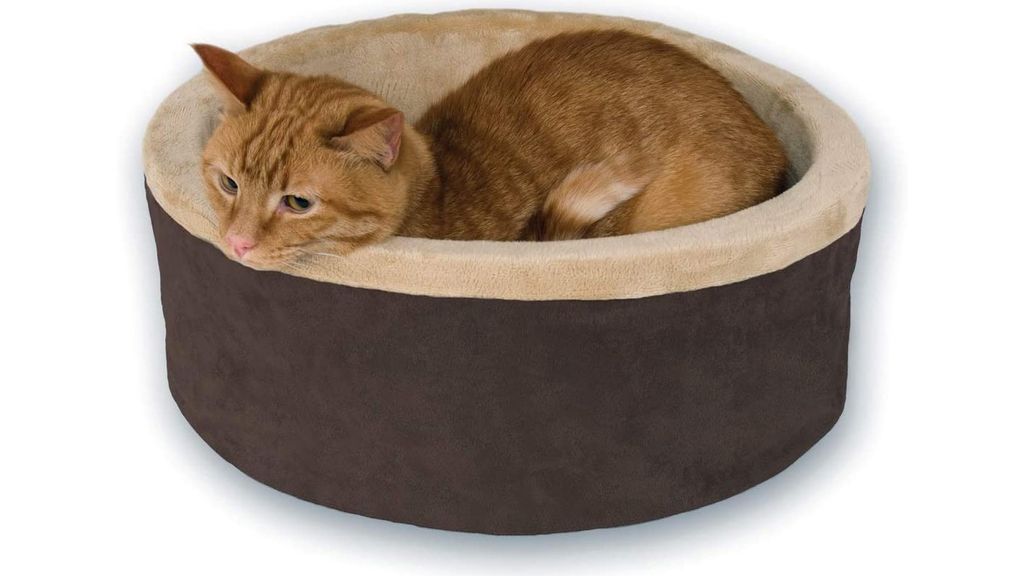 Best luxury cat bed Comfortable cribs for your feline PetsRadar