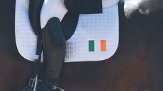 irish dressage team tokyo olympics appeal