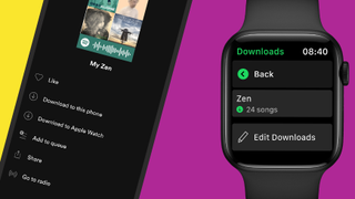 Spotify on your Apple Watch