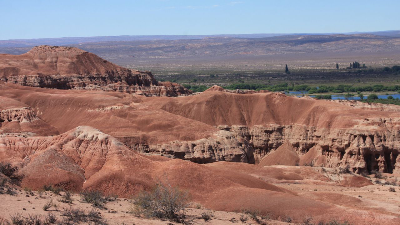The remains of this titanosaur were discovered in the Baja Colorada Formation in Argentina.