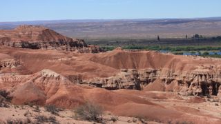 이 티타노 사우루스의 유해는 아르헨티나의 바하 콜로라 다 층에서 발견되었습니다.