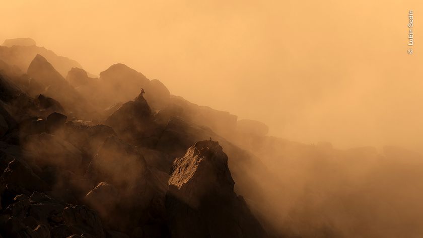 Silhouetted rocks emerge from a golden fog, with a lone bird perched atop a stone, creating a serene and otherworldly scene