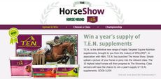 The Horse Show