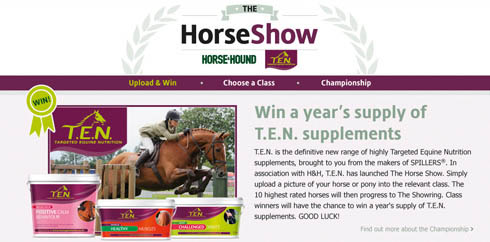 The Horse Show
