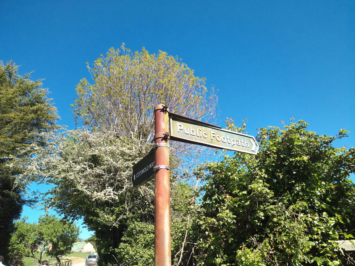 Sample image from Camp Snap CS-Pro digital compact camera showing footpath sign among trees