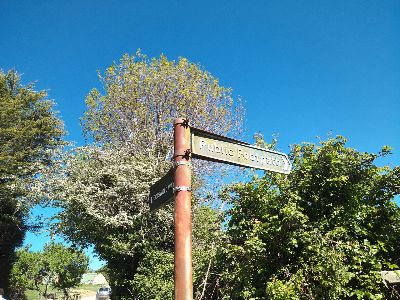Sample image from Camp Snap CS-Pro digital compact camera showing footpath sign among trees