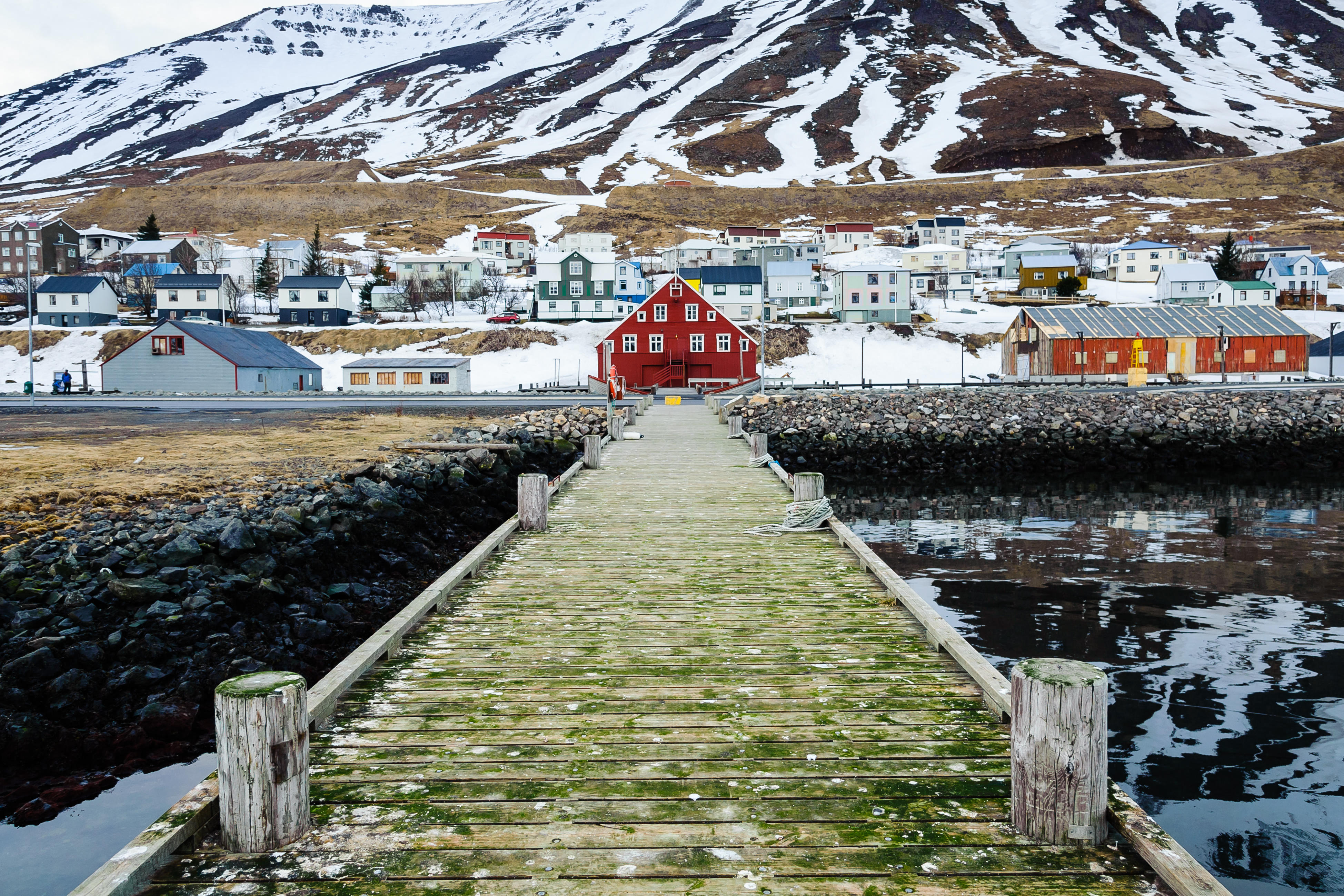 Snow covered landscape