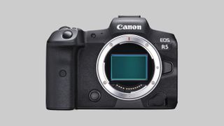 Canon goes 8K! New Canon EOS R5 has 8K video, IBIS, 20fps + dual card slots