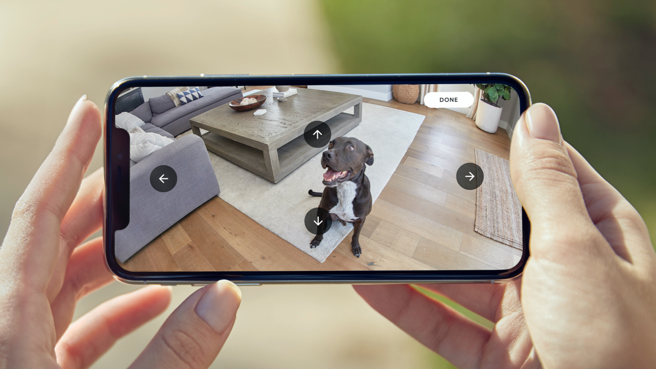 Ring Pan-Tilt Mount – mobilskjerm viser bilder fra et kamera som fanger opp en hund.