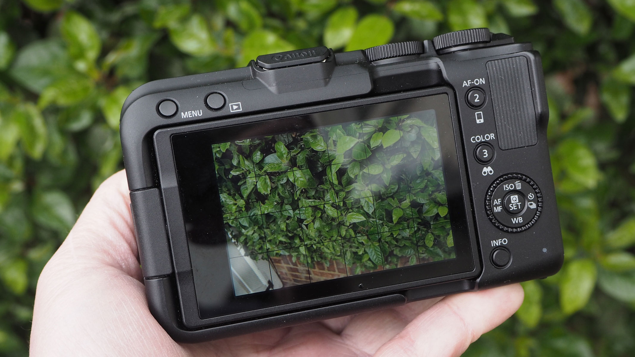 The tilt LCD screen of the Canon EOS R50 V showing foliage backdrop.