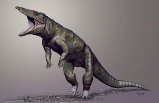 A life reconstruction of the giant crocodile ancestor (<em>Carnufex carolinensis</em>) that lived some 231 million years ago in what is now North Carolina.