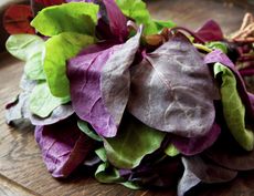 Green And Purple Orach Plant Leaves