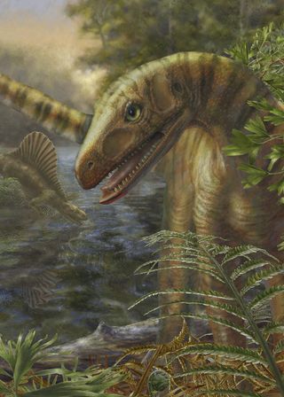 Asilisaurus dinosaur ancestor