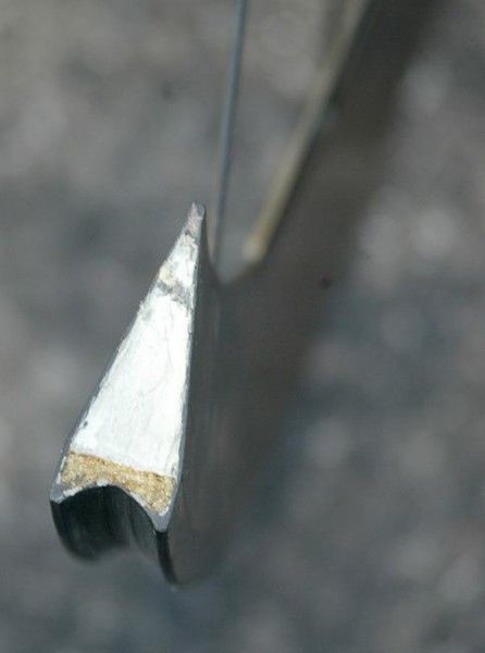 A cross-section of the Obermayer rim.