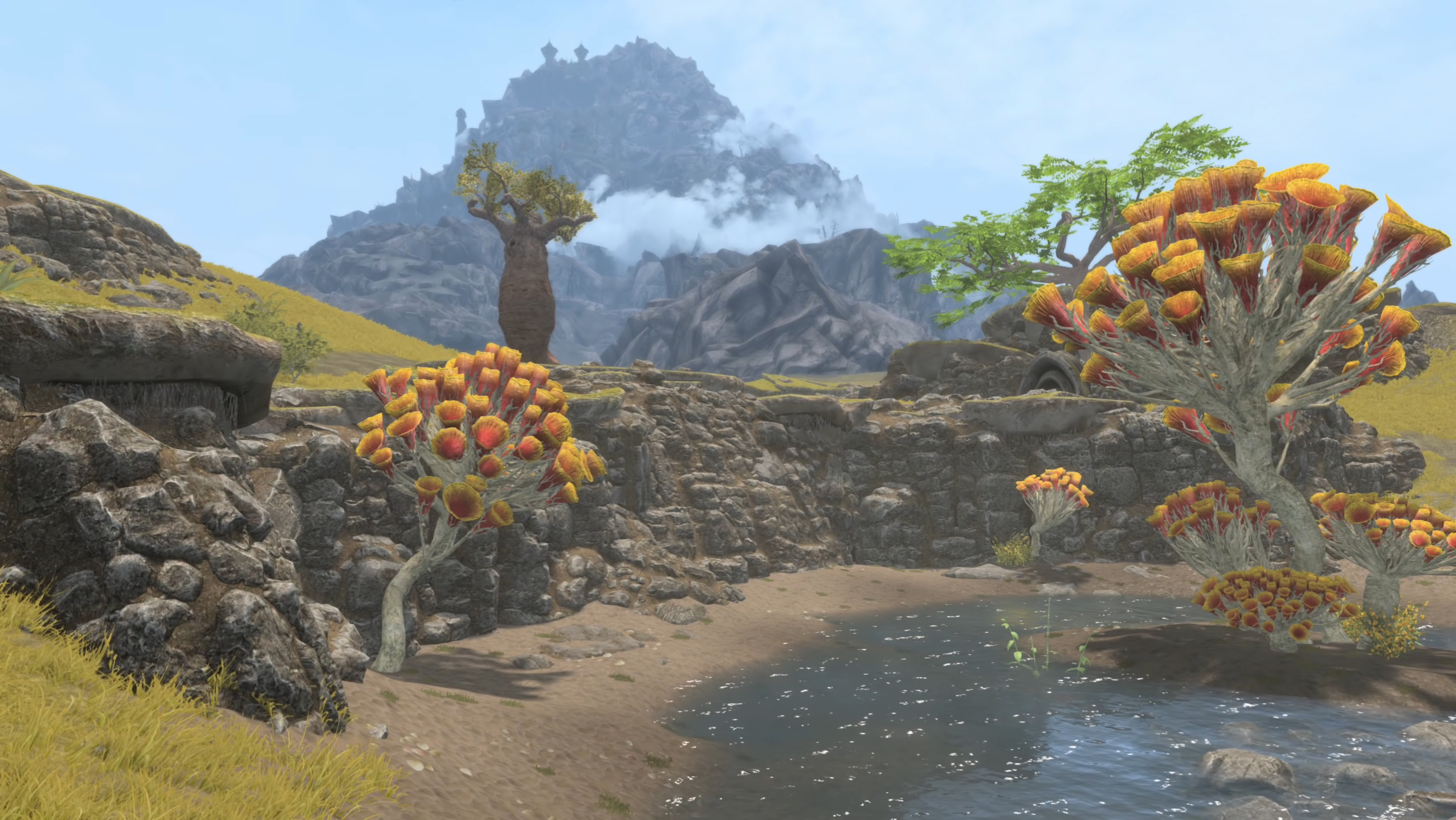  Skywind mod shows off a year of progress, but needs your help to finish 