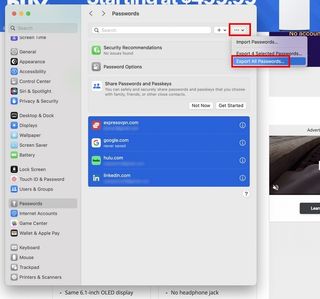 Export All Passwords option in ellipsis icon