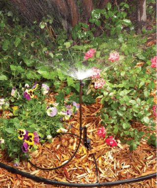 An outdoor drip irrigation system spraying onto a garden with pink flowers and green leaves