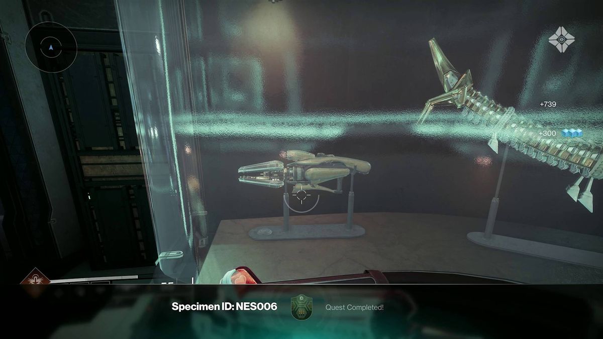 Destiny 2 Echoes Specimen ID: NES006 Assimilated Torch Hammer in tank