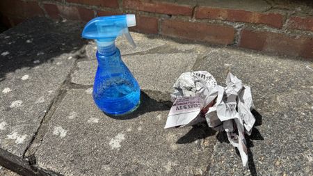Using newspaper and vinegar to clean a window