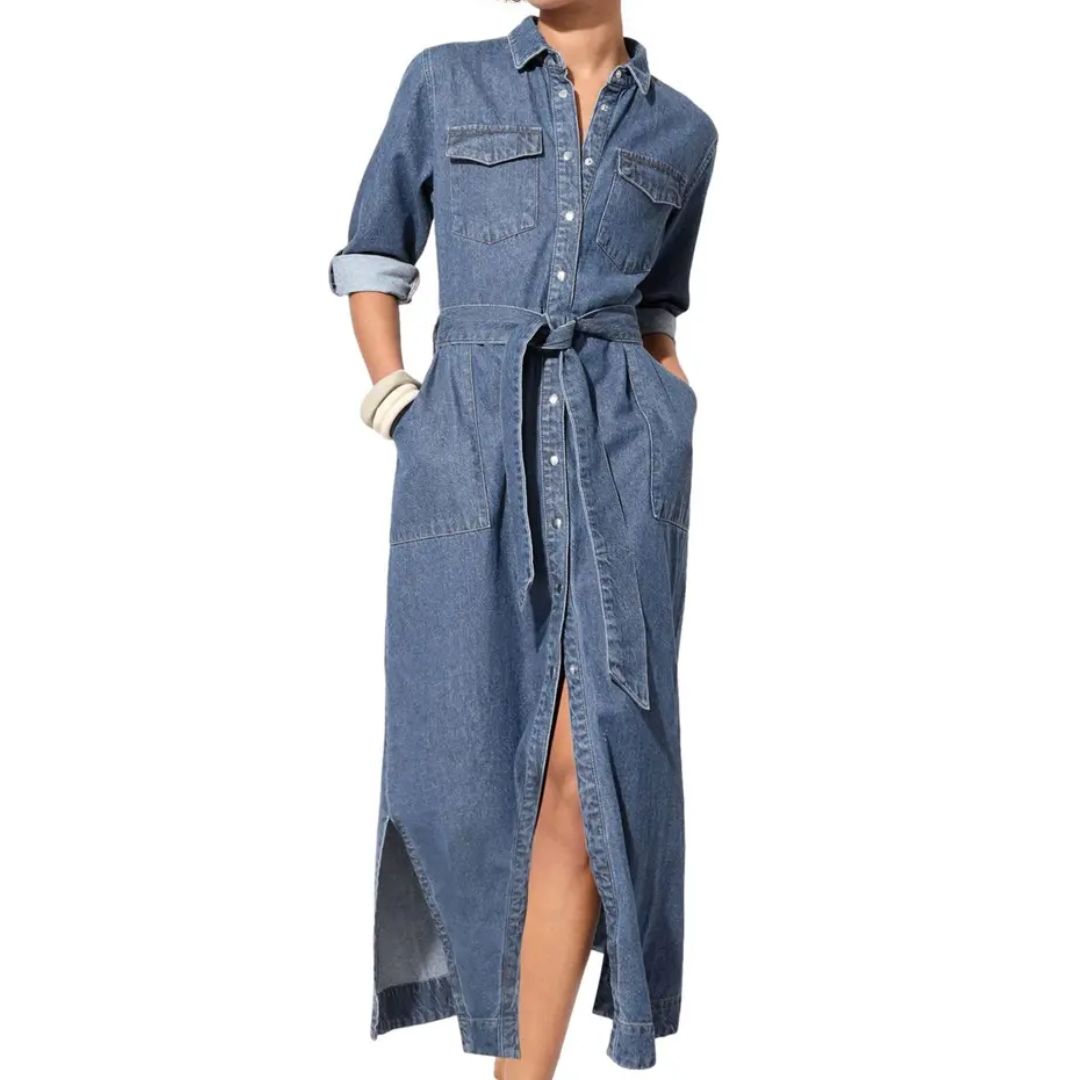 Friends Like These Denim Dress