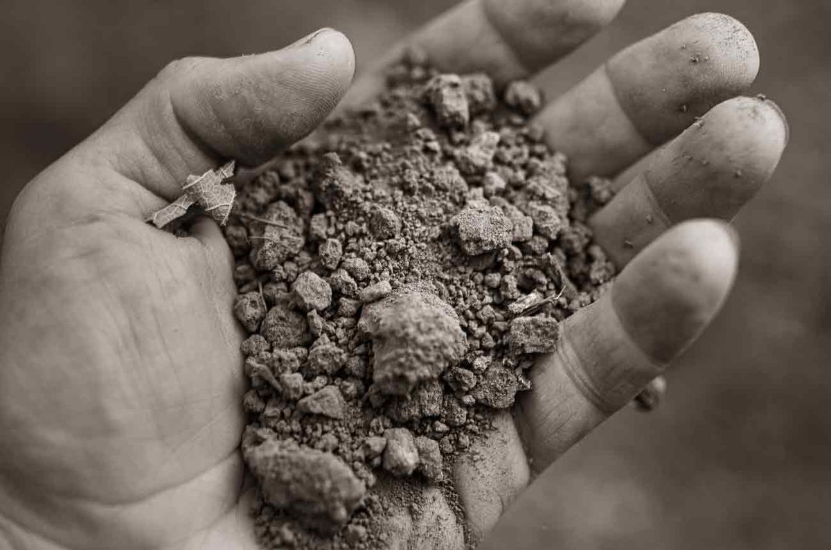 Cristaldi: Understanding the signature ‘Rutherford Dust’ and how to ...