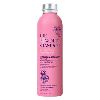 the powder shampoo for dry hair