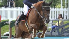 Ebanking Adam Botham
