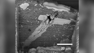 A gray scale photo shows various light and dark lumps across the rocky sample from the near-Earth asteroid Bennu